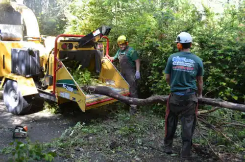 tree services Virden